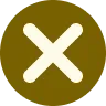X icon